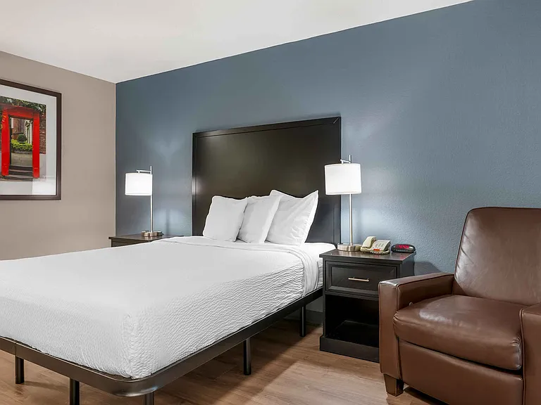 Studio Suite - 1 Queen Bed
