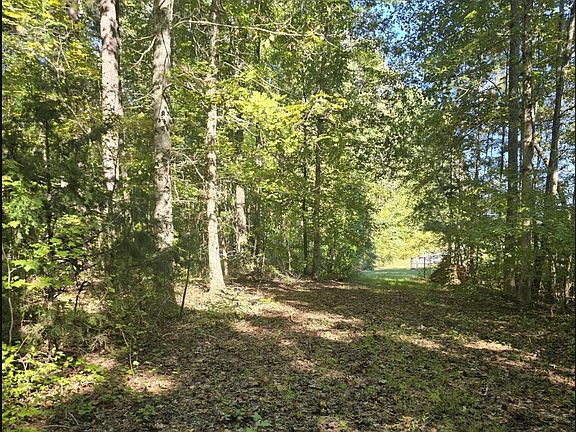 3rd image of State Highway 86 N Lot 1