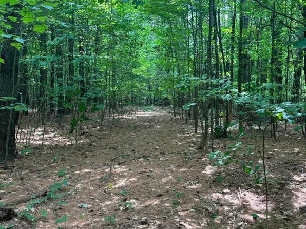 Lot 28 Troy Road, Burnham, ME 04922