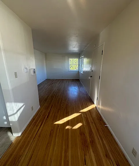303 Lynn Dr — Photo 7