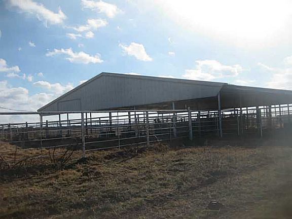 COVERED ARENA, CHUTES, PENS