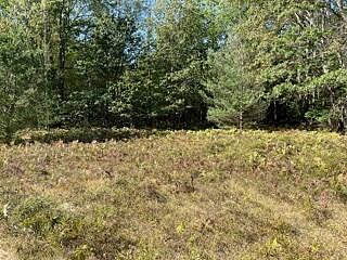 2nd image of 0 S Frank Smith Rd
