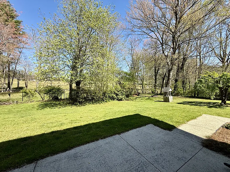 Patio and Backyard