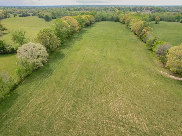 0 Puncheon Branch Rd, Minor Hill, TN 38473