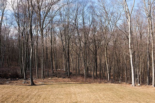 2nd image of 69 Birch Hill Rd