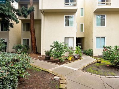 2716 Oak Rd APT 100, Walnut Creek, CA, 94597