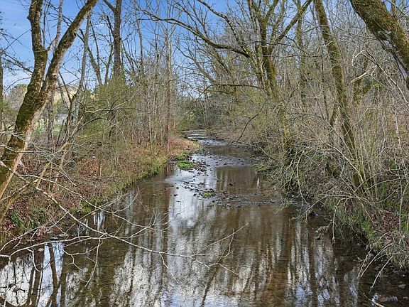 3rd image of 0 Cobb Hollow Rd