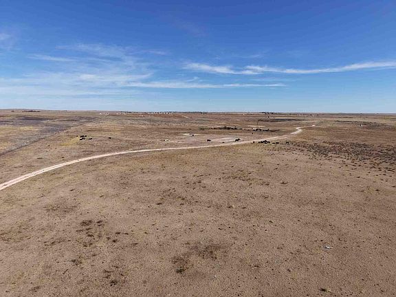 4th image of Dodd Grass 480ac County Line Rd
