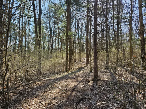 0 Pierce Rd Parcel C, Chelsea, MI 48118