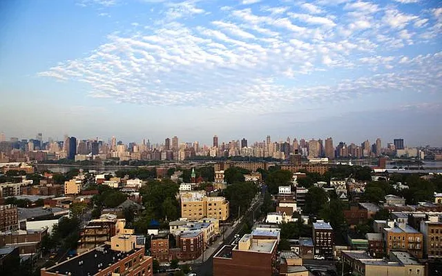 Rented by Forest Properties Management | media 34