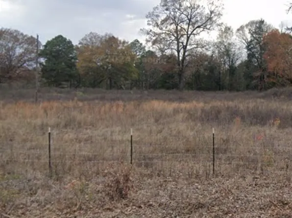 Colorado Ct #4350, Scroggins, TX 75480
