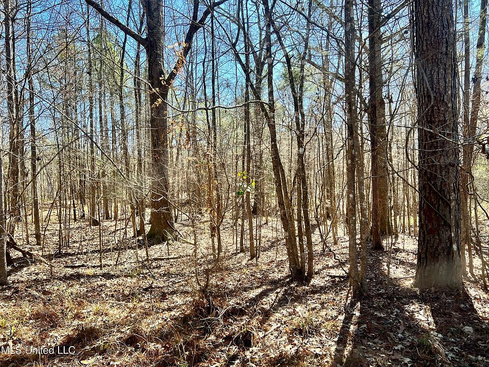2nd image of Crooked Creek Rd