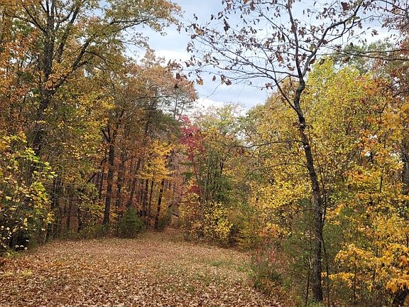 5th image of 43.91 Old Burnt Mountain Rd