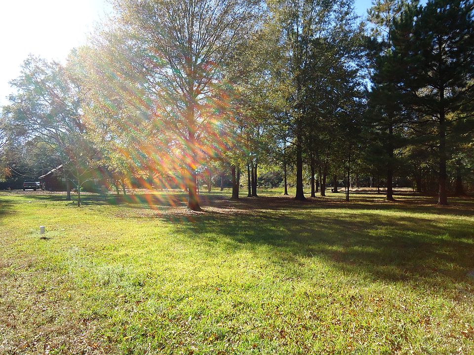 View of mid-section