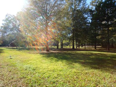 0 Highway 445, Loranger, LA, 70446