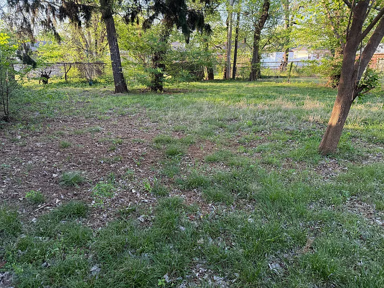 1224 Bellevidere Dr — Photo 19
