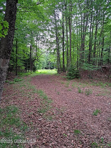 3rd image of L31 Bills Road