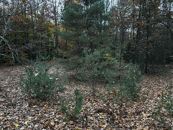 3rd image of S Carr Rd