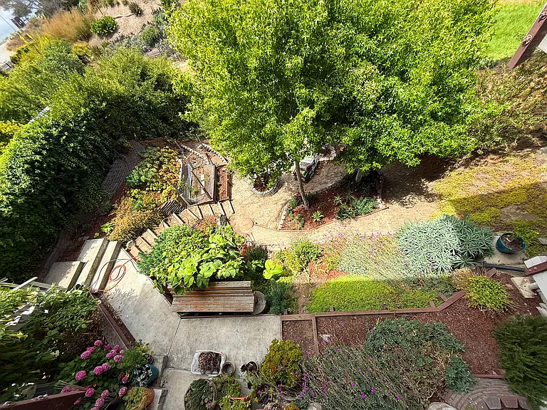 225 Buena Vista Ave #3 — Photo 17