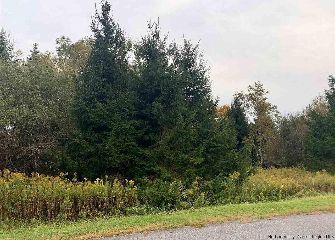 Champlain Rd, Jefferson, NY 12093 Zillow