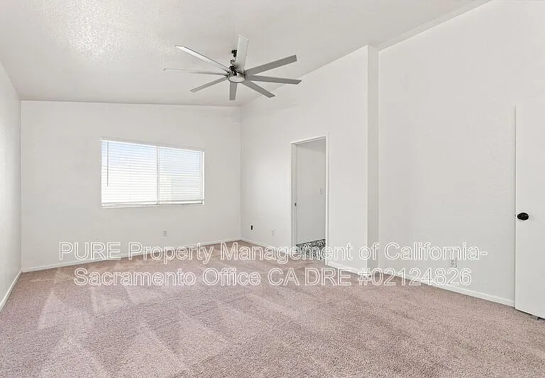 8742 Weeping Birch Ln — Photo 25