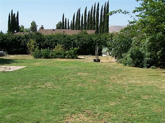 Lots of different fruit trees