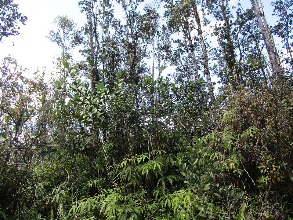 2nd image of Pukalani Dr Lot 12