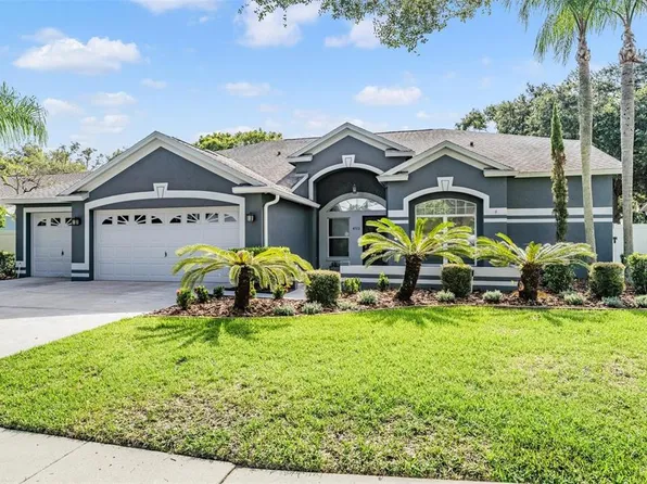 4512 Gentrice Dr, Valrico, FL 33596
