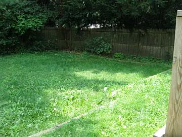 Callanan Ave, Bryn Mawr — Photo 2