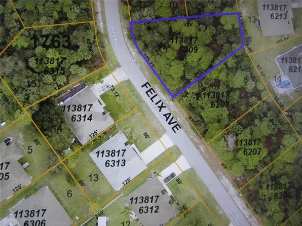 Felix Avenue Lot #9, North Pt, FL 34288