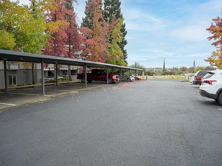 Sierra Oaks — Photo 8