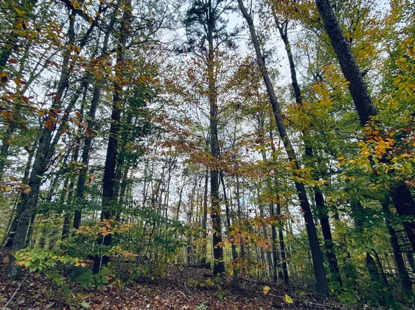 LOT 3 Cole Dr, Remington, VA 22734