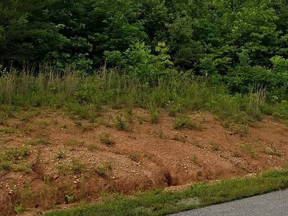 2nd image of 480 Ten Mile Ln Lot 14