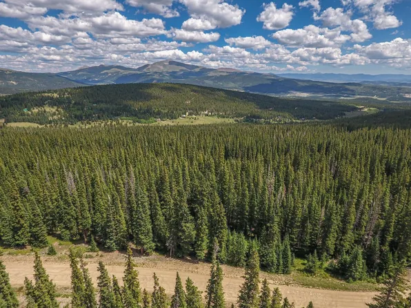 726 Prunes Place, Fairplay, CO 80440