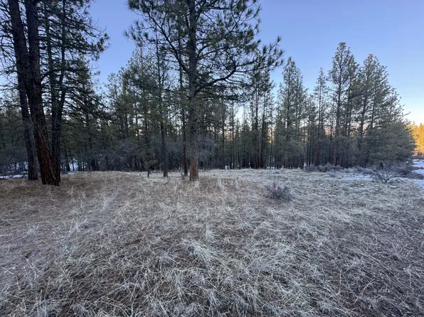 Bobcat Cir, Beatty, OR 97621