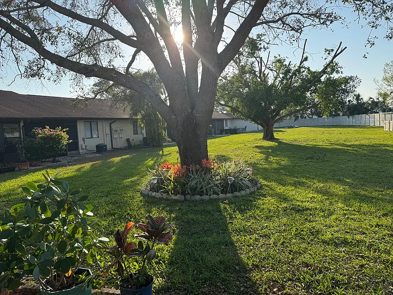 Shared green space off of back yard