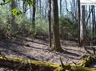 LOT 63 Lot 63 Lake View Dr, Roaring Gap, NC 28668