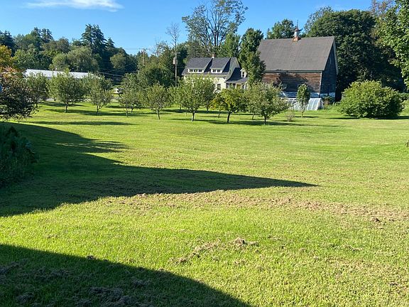 back yard and apple trees