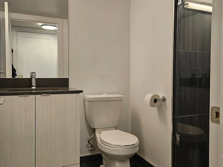 225 Village Green Sq #1301 — Photo 6