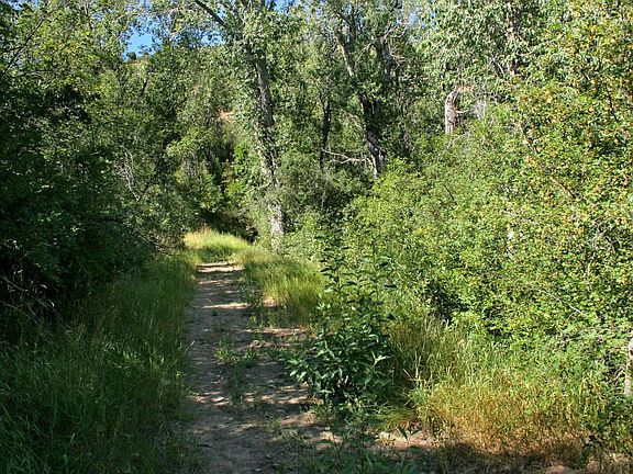 Trail to stream