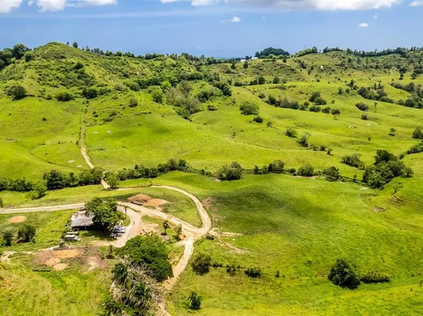 Km #1.6-633, Morovis, PR 00687