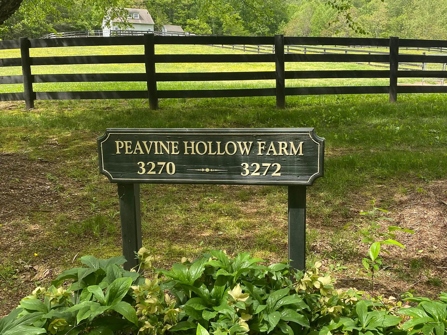 3272 Peavine Hollow Road — Photo 2