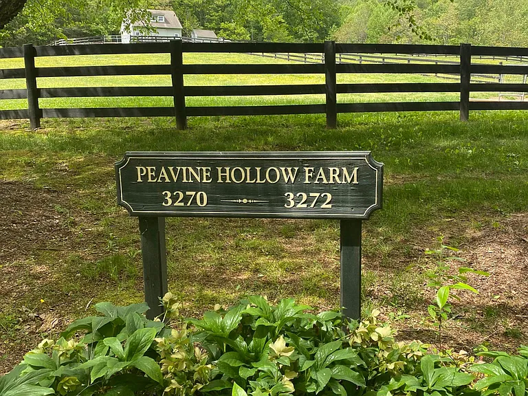 3272 Peavine Hollow Rd — Photo 2