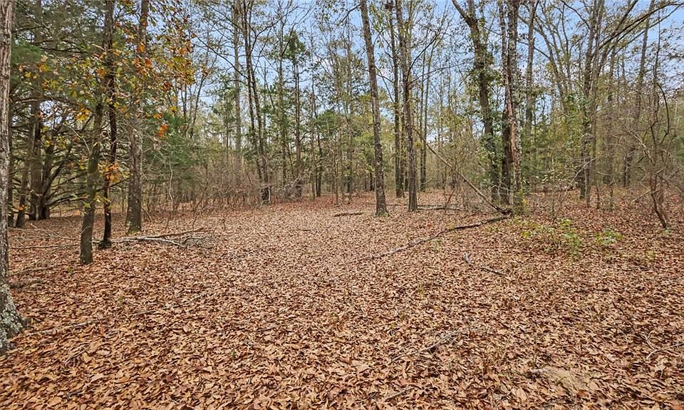 923 Hunter Rd Ellaville GA Zillow