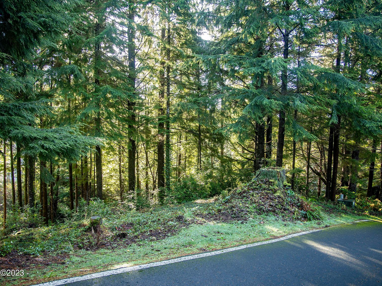 417 Surfview Dr, Gleneden Beach, OR 97388 MLS 232246 Zillow