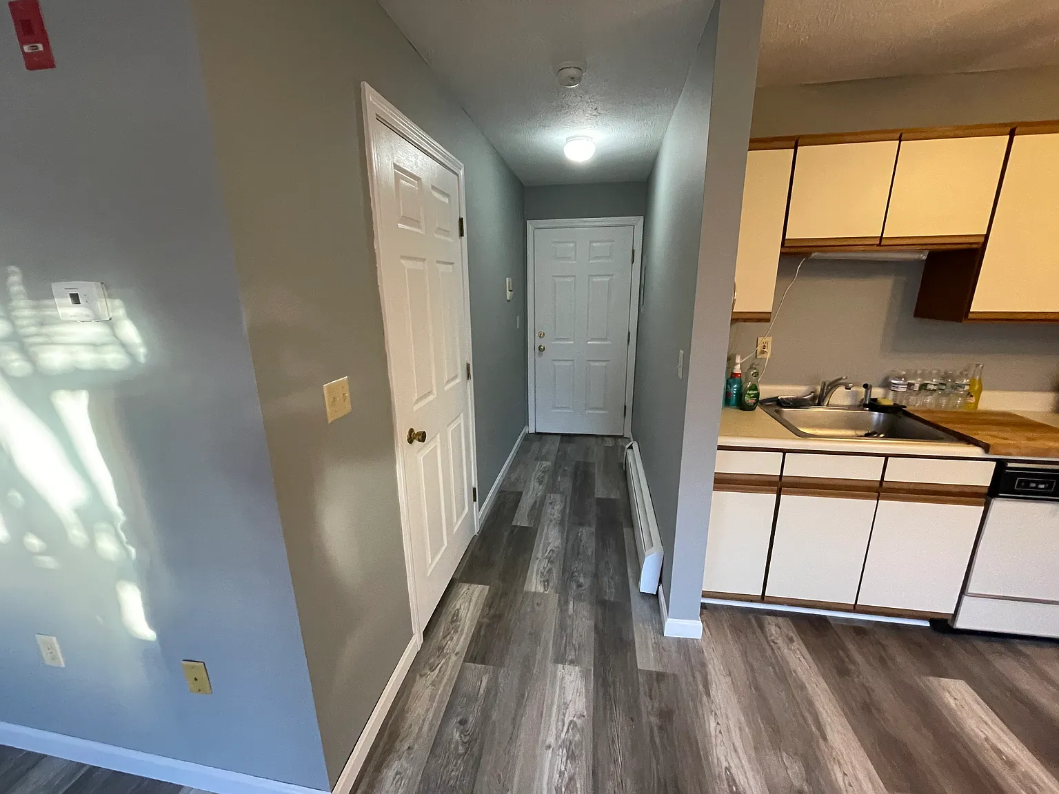 1 bed, 380 sqft, $1,250 — Photo 3