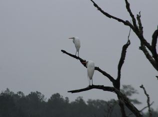 4598 Moz Ln, Hollywood, SC 29449