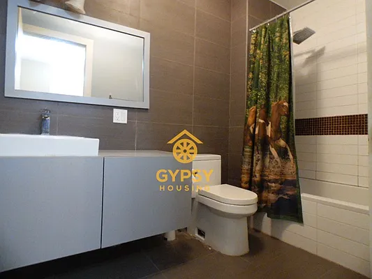 Rented by Gypsy Housing LLC | media 47