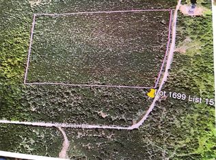LOT 1699 Spruce Pond Rd, Lexington Twp, ME 04961