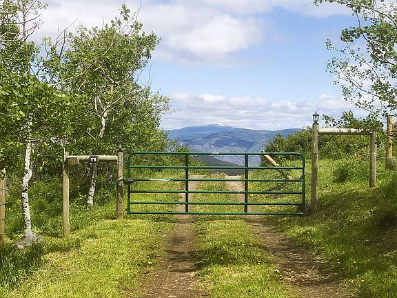 Automatic gate